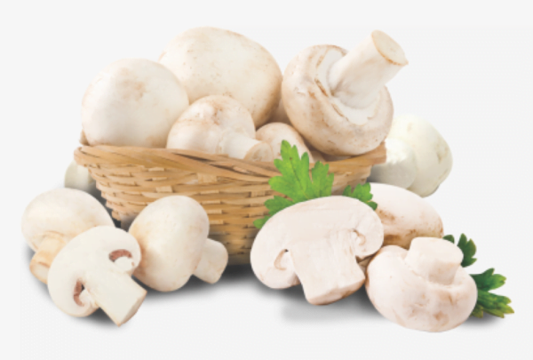 Fresh Button Mushroom | 1 Kg per packets by Apna Mushroom