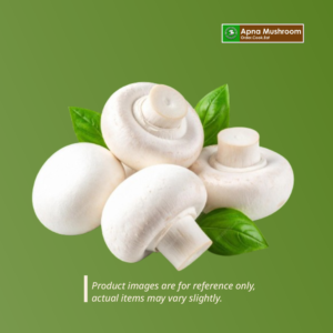 Button Mushroom-Fresh