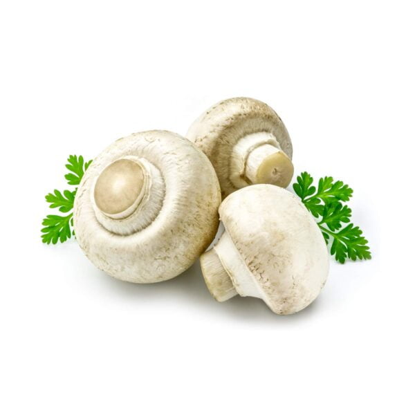 Fresh Button Mushroom | 1 Kg per packets by Apna Mushroom - Image 3