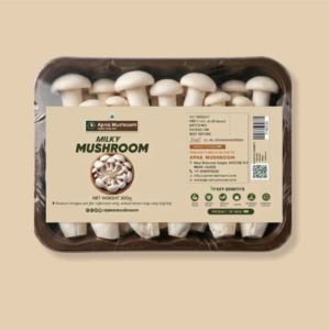 Milky Mushroom-Fresh