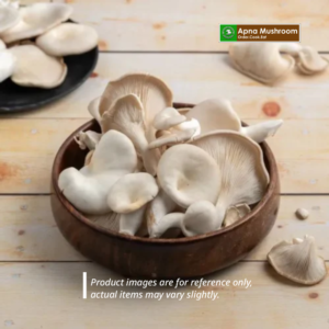 Oyster Mushroom-Fresh