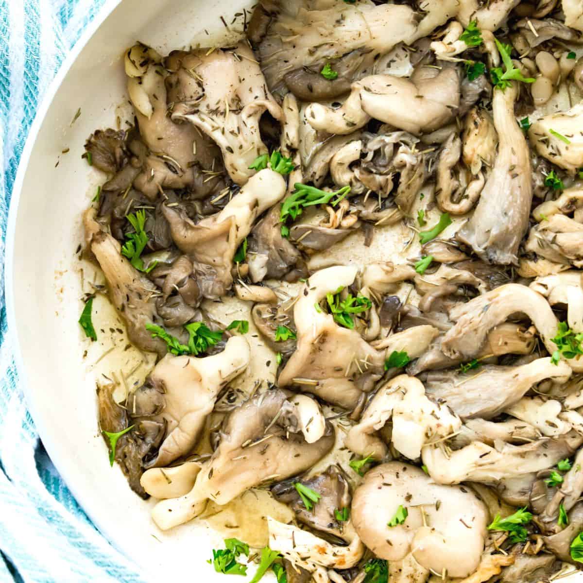 Oyster Mushroom-Fresh