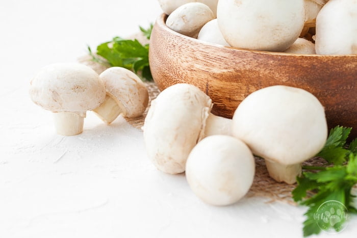Button Mushroom-Fresh