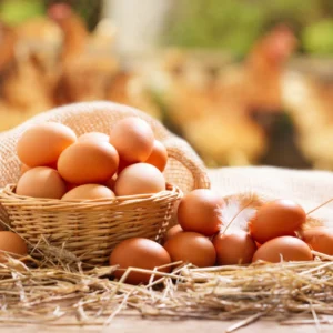 Farm Fresh Eggs-Desi / Natural