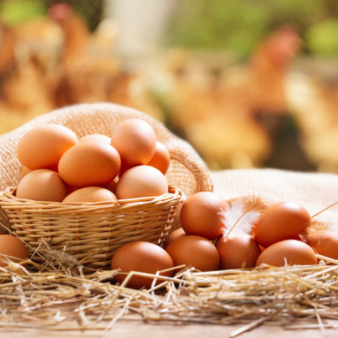 Farm Fresh Eggs-Desi / Natural