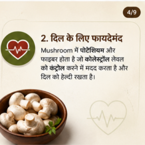 Mushroom Benefits -Apna Mushroom Four