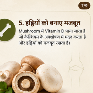 Mushroom Benefits -Apna Mushroom Seven