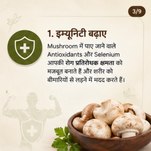 Mushroom Benefits -Apna Mushroom Three