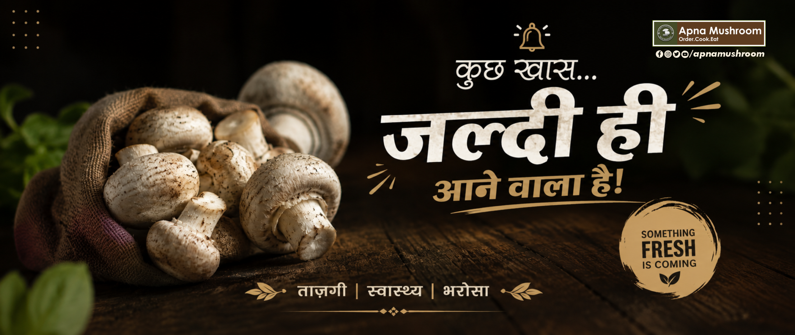 Apna Mushroom -Special